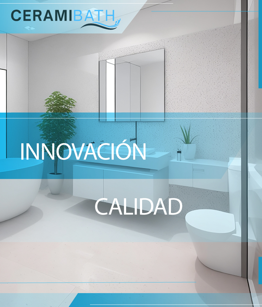 INODOROS Y LAVABOS EN VALENCIA